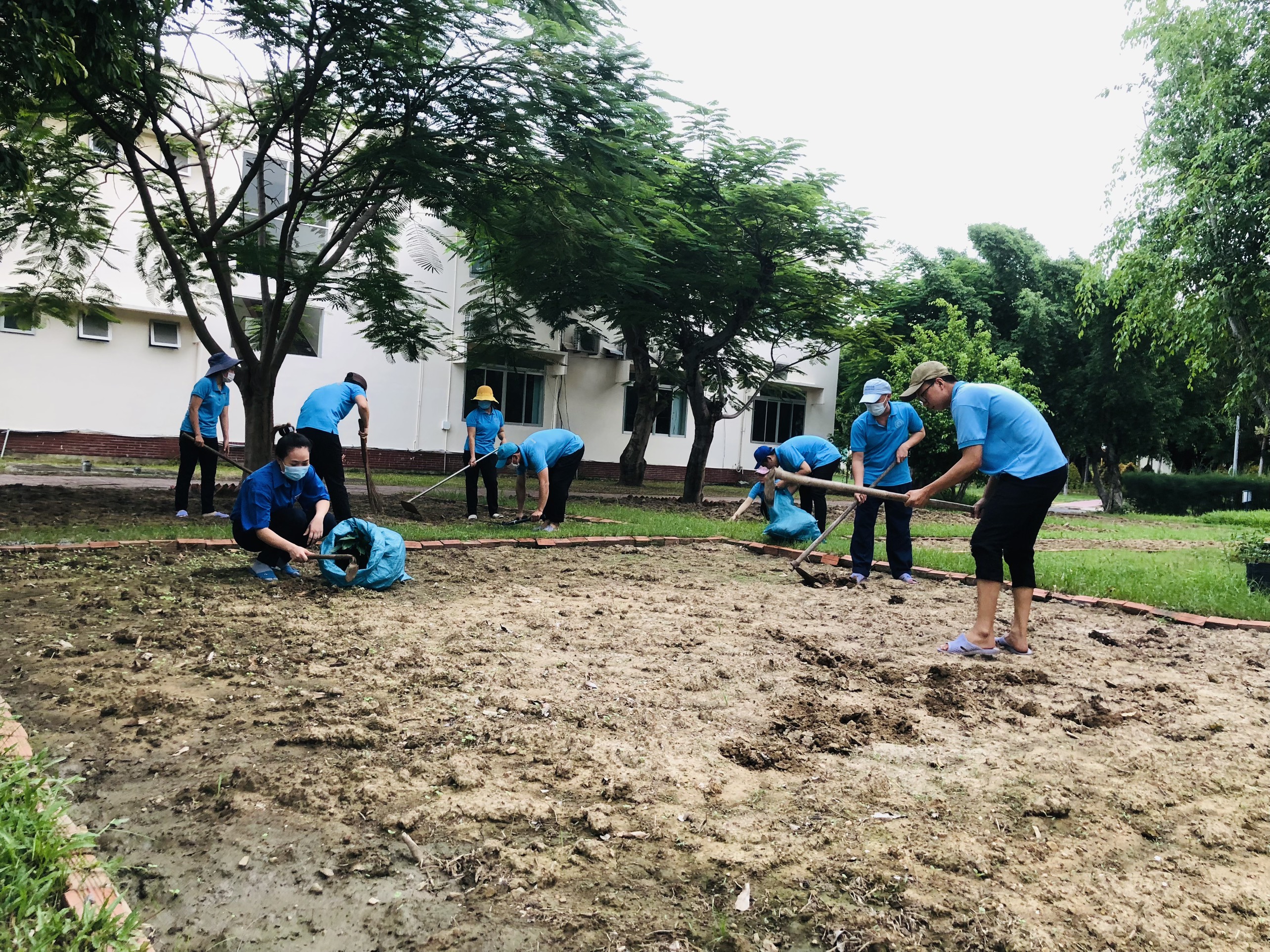 Cải tạo vườn hoa tại Công ty.